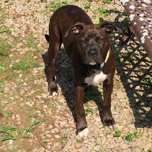 Meet your Posher, Rebecca